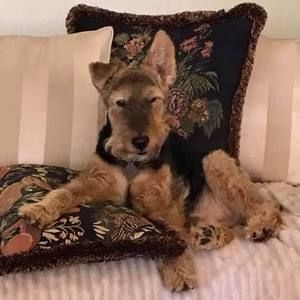 Meet your Posher, Beth